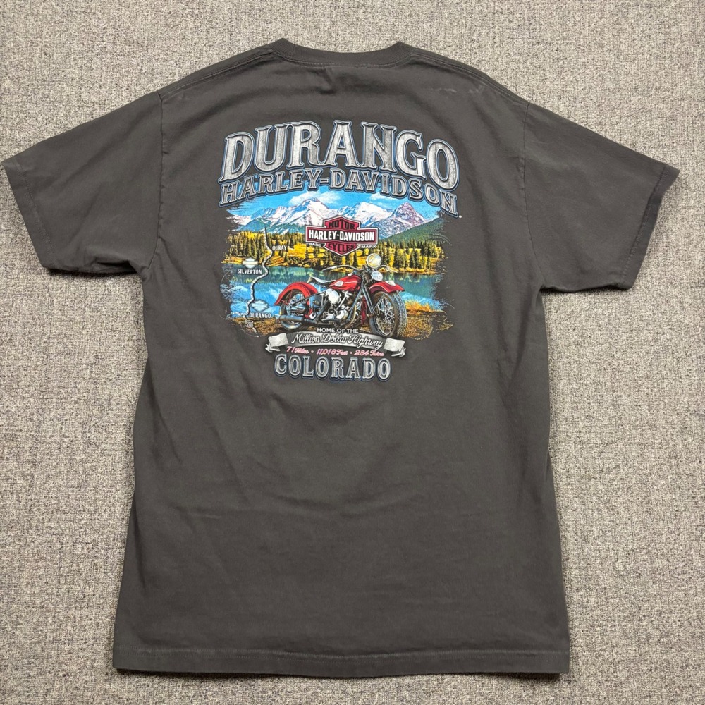 Harley-Davidson T-Shirt Mens L Gray Durango Colorado Million Dollar Highway Tee